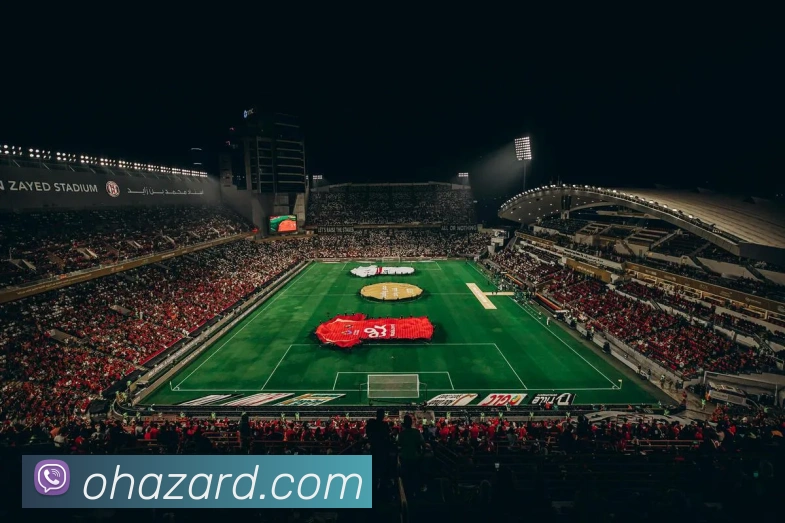 奖项证书